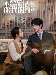 短剧不曾忘记你我的约定海报