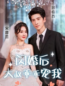 短剧闪婚后，大叔乖乖宠我海报
