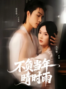 短剧不负当年晴时雨海报