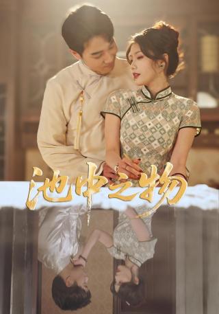 短剧池中之物海报