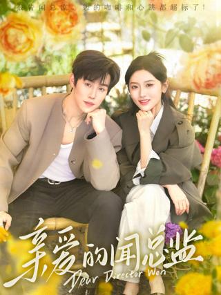 短剧亲爱的闻总监海报