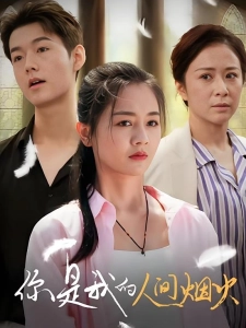 短剧你是我的人间烟火海报