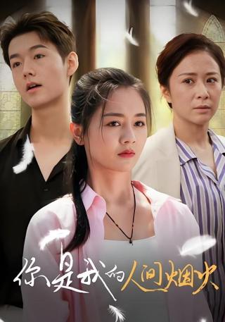 短剧你是我的人间烟火海报