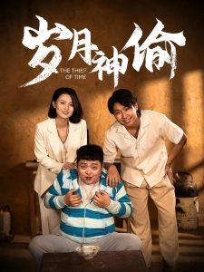 短剧岁月神偷海报