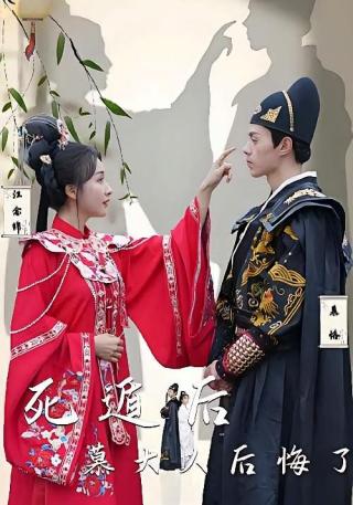 短剧死遁后慕大人后悔了海报