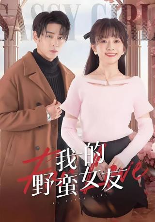 短剧我的野蛮女友海报