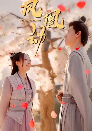 短剧凤凰劫海报