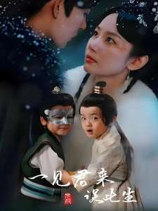 短剧一见君来误此生海报