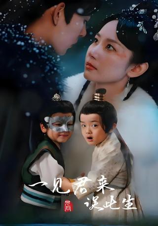 短剧一见君来误此生海报