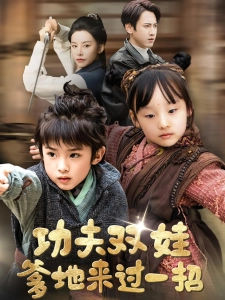 短剧功夫双娃爹地来过一招海报