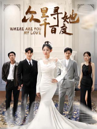 短剧众里寻她千百度海报