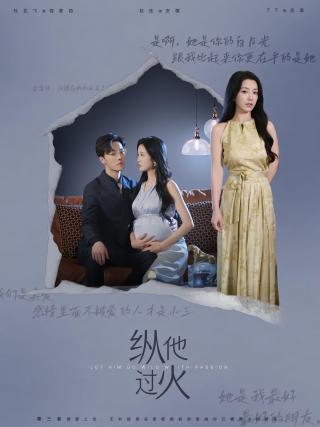 短剧纵他过火海报