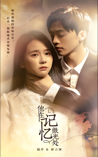 短剧他在记忆微光处海报