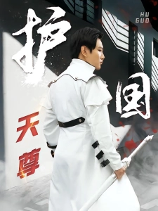 短剧护国天尊海报