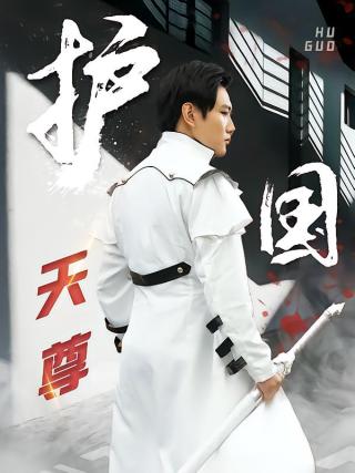 短剧护国天尊海报