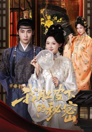 短剧我肚皮下的秘密海报