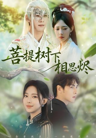 短剧菩提树下相思烬海报