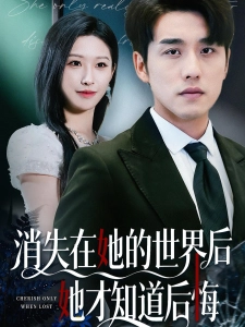 短剧消失在她的世界后她才知道后悔海报