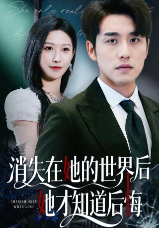 短剧消失在她的世界后她才知道后悔海报