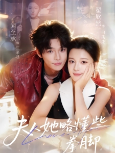 短剧夫人她略懂些拳脚海报