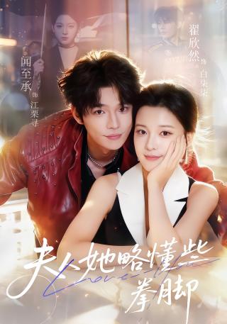 短剧夫人她略懂些拳脚海报