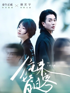 短剧往来皆过客海报