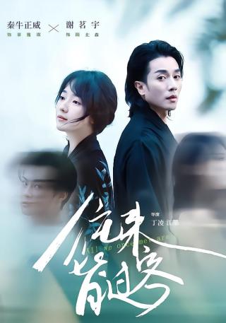 短剧往来皆过客海报