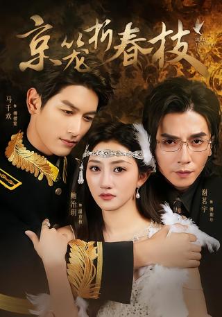 短剧京笼折春枝海报