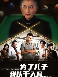 短剧为了儿子我以千入局海报