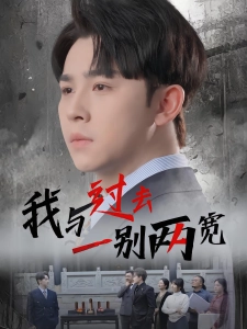 短剧我与过去一别两宽海报