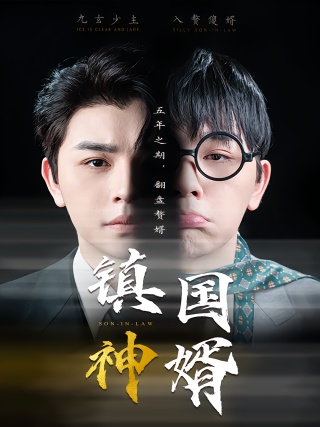 短剧镇国神婿海报