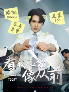 短剧看我几分像从前海报