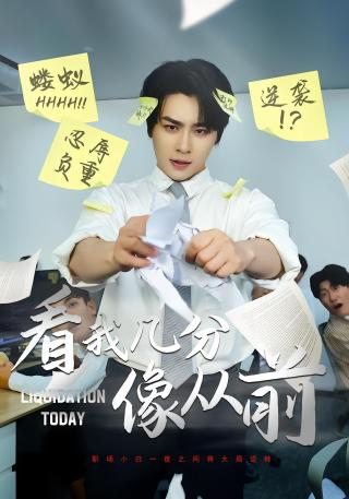 短剧看我几分像从前海报