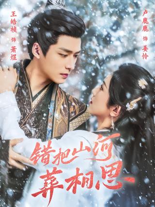 短剧错把山河葬相思海报