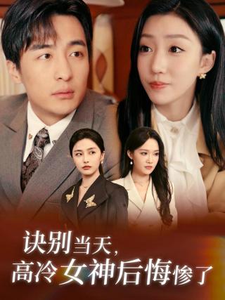 短剧诀别当天，高冷女神后悔惨了海报