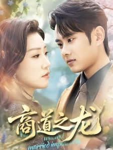 短剧商道之龙海报
