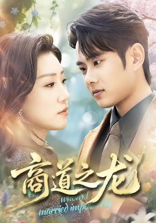 短剧商道之龙海报