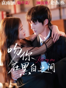 短剧吻你在黑白之间海报