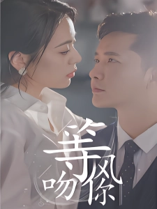 短剧等风吻你海报