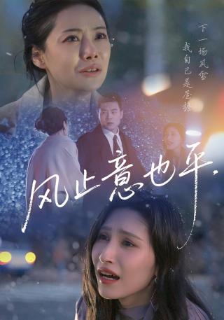 短剧风止意也平海报