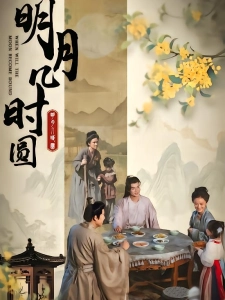 短剧明月几时圆海报