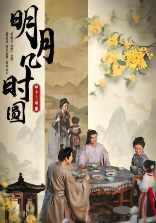 短剧明月几时圆海报