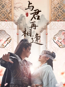 短剧与君再相逢海报