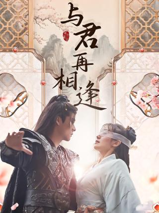 短剧与君再相逢海报