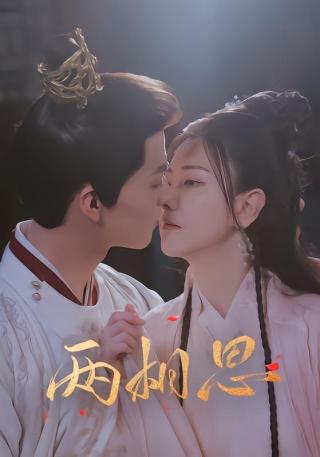 短剧两相思海报