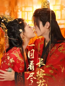 短剧一日看尽长安花海报