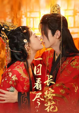 短剧一日看尽长安花海报