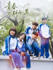 短剧青春不期而遇海报