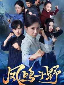 短剧凤鸣于野海报