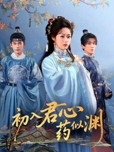 短剧初入君心药似渊海报